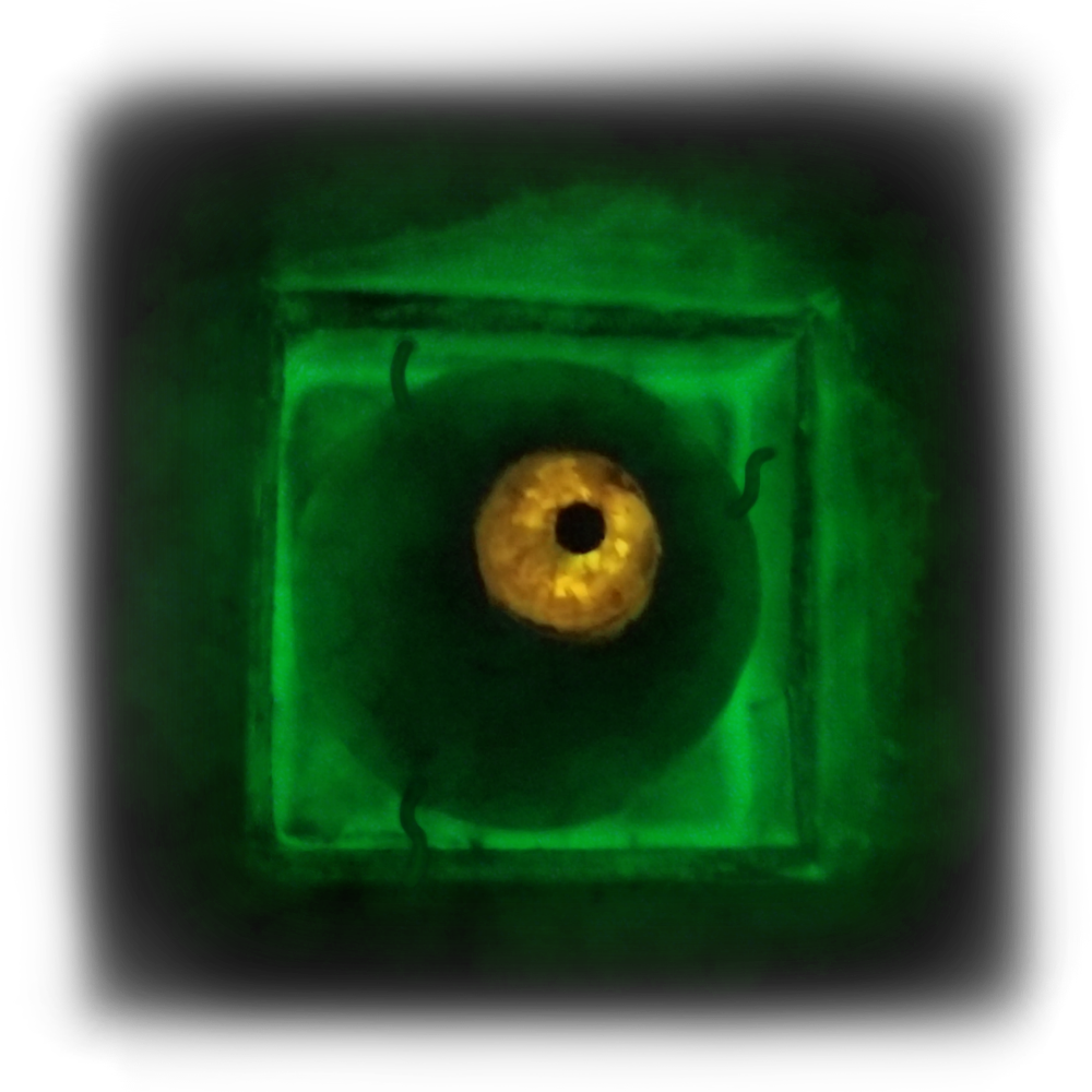 human eye in a box image